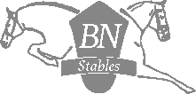 BN stables logo