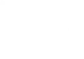 moneybird-logo-white